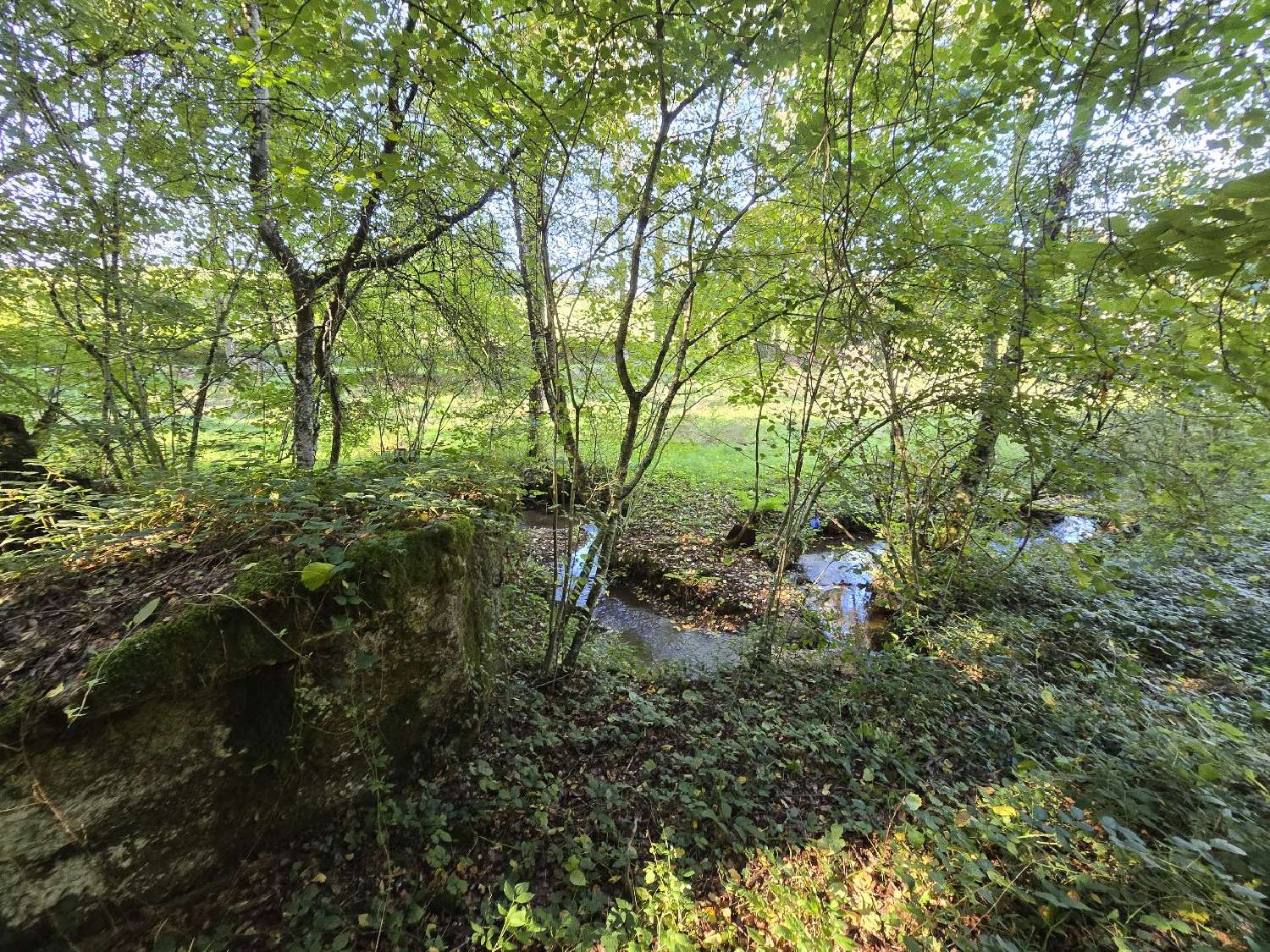  kaufen Haus Arvieu Aveyron 8