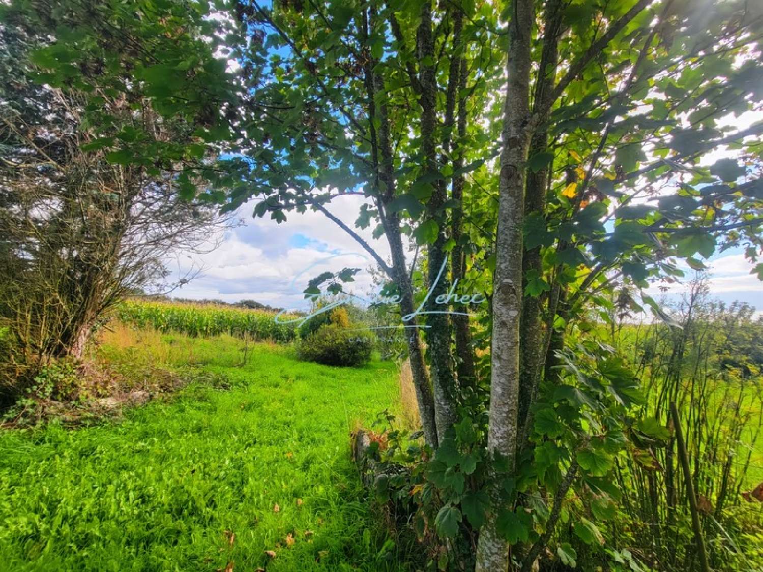  te koop huis Arzano Finistère 6