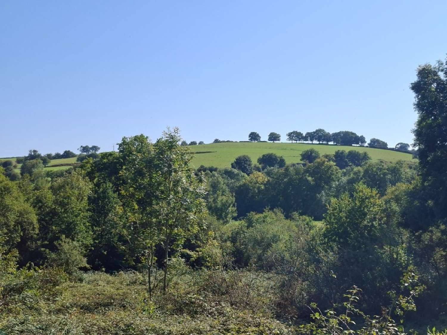  for sale house Assé-le-Boisne Sarthe 2