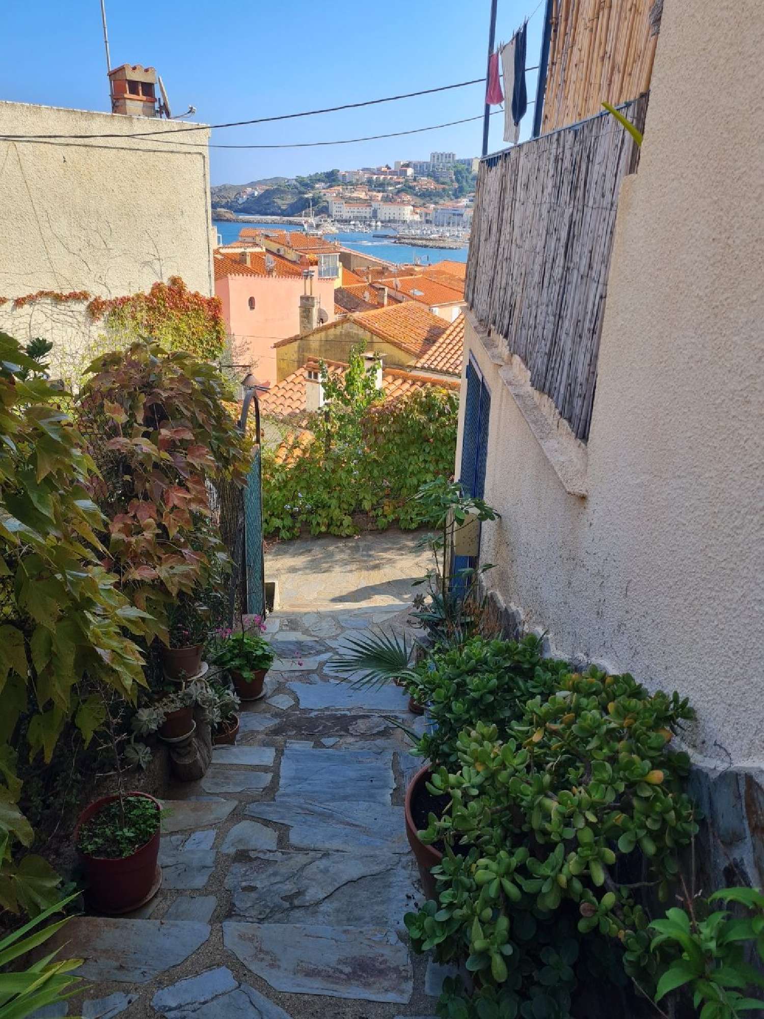  kaufen Haus Banyuls-sur-Mer Pyrénées-Orientales 2