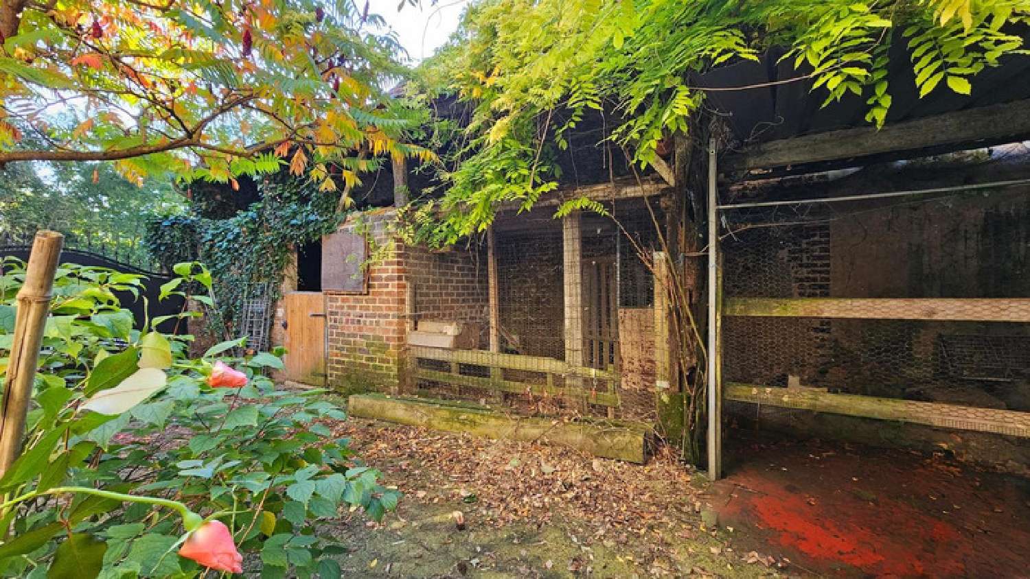  te koop huis Beaumont-sur-Dême Sarthe 4