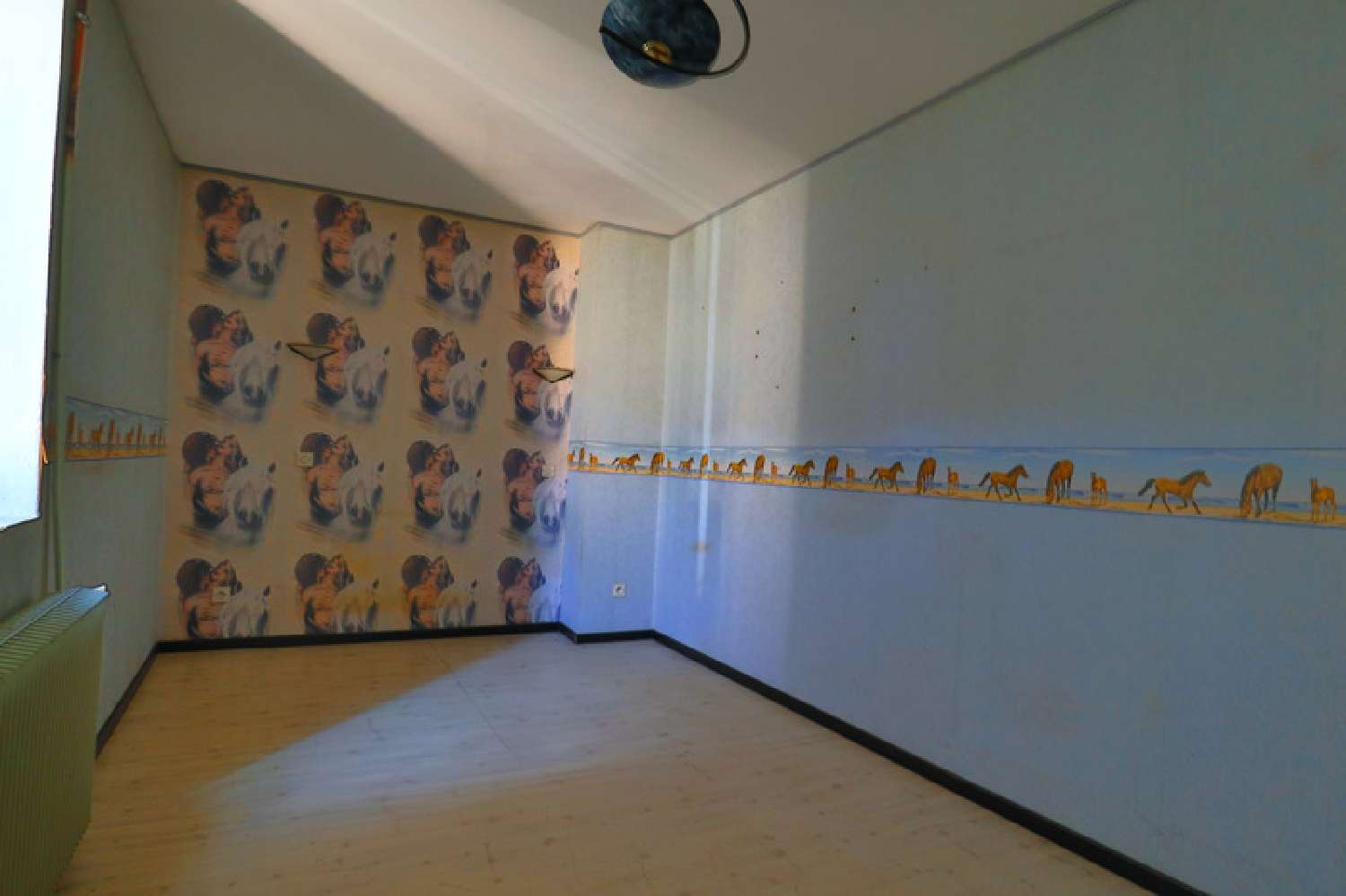 à vendre maison Beaurepaire Isère 8