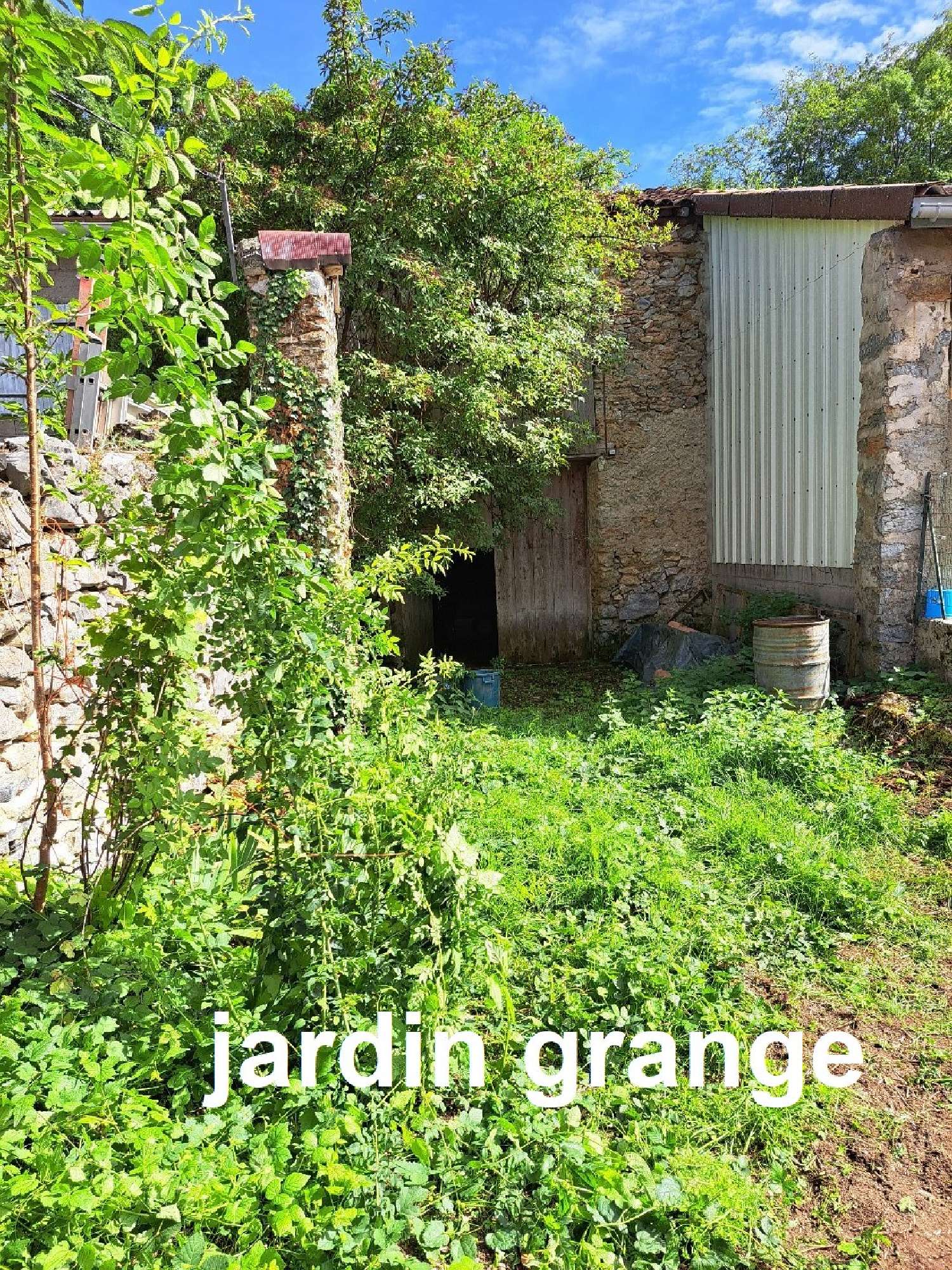  for sale house Belcaire Aude 5