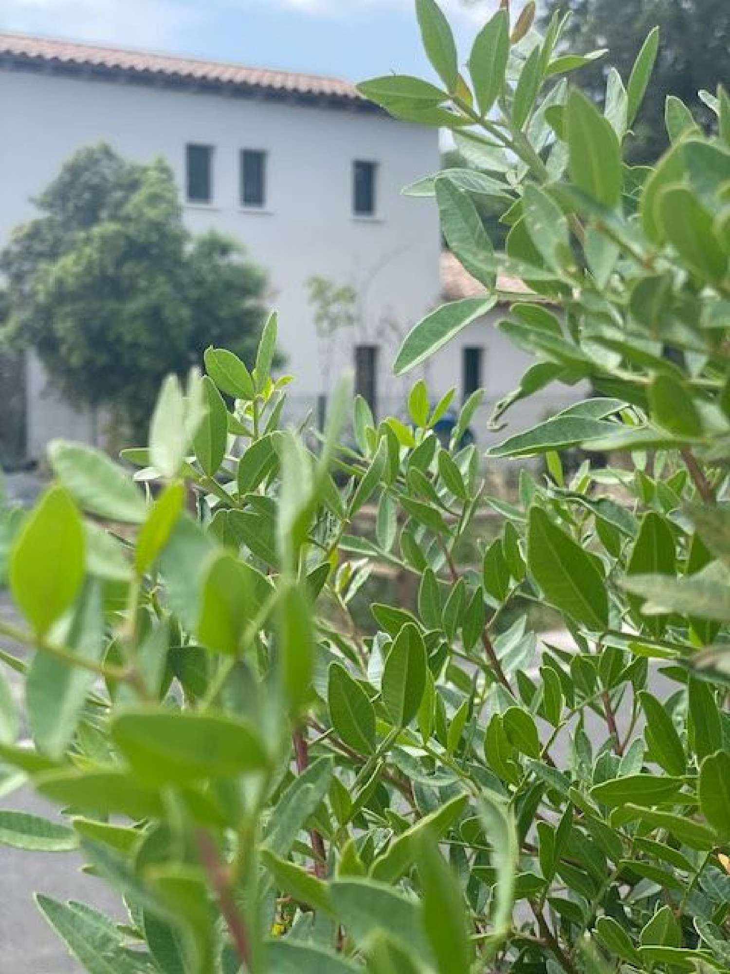  à vendre maison Poussan Hérault 1
