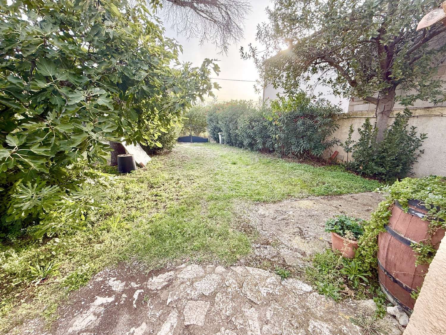  à vendre maison Bessan Hérault 2