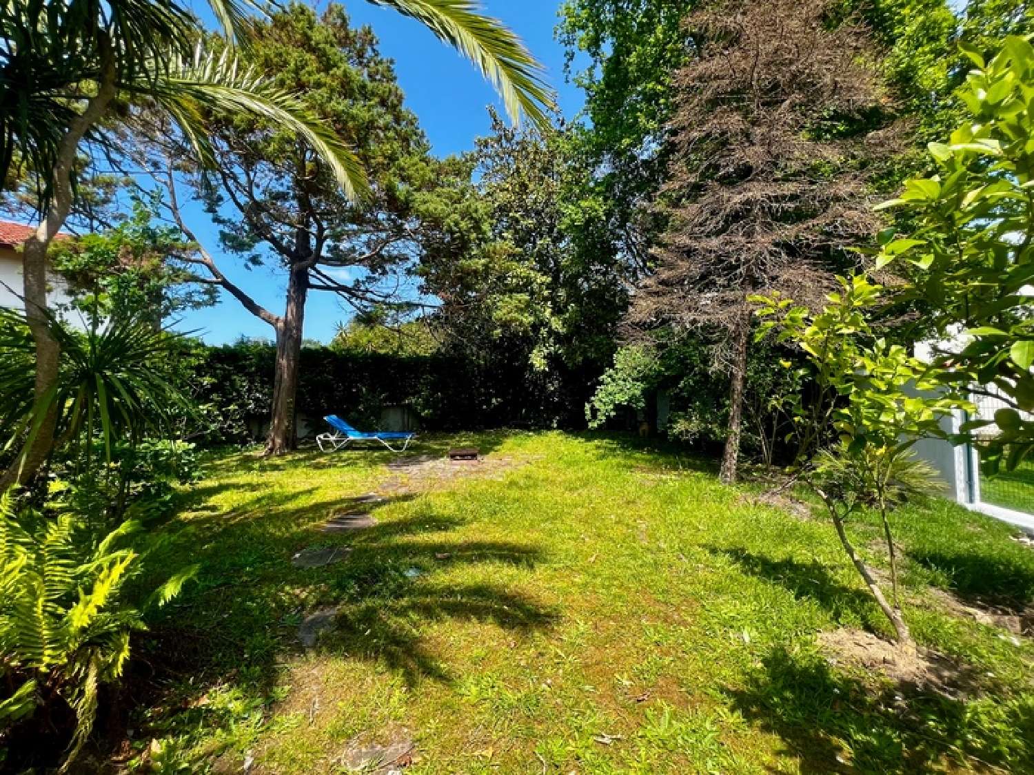  te koop huis Biarritz Pyrénées-Atlantiques 5