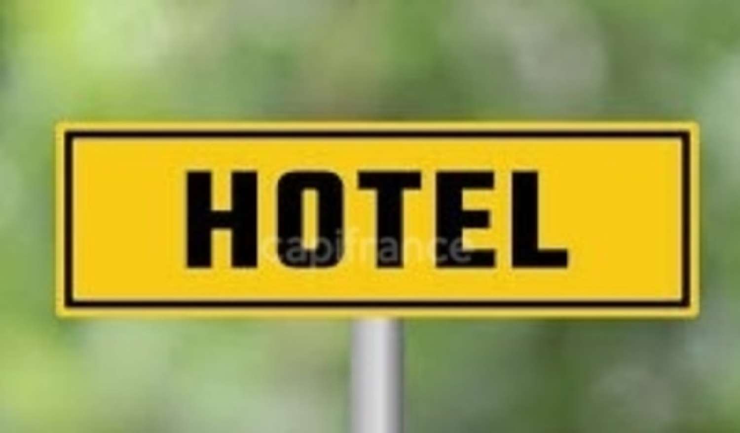 te koop huis Blois Loir-et-Cher 1