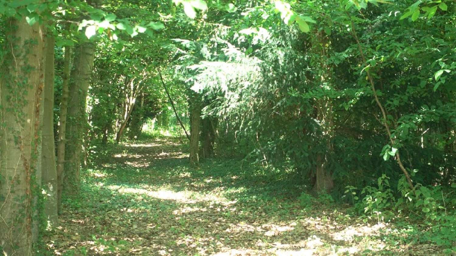  for sale house Bolbec Seine-Maritime 2