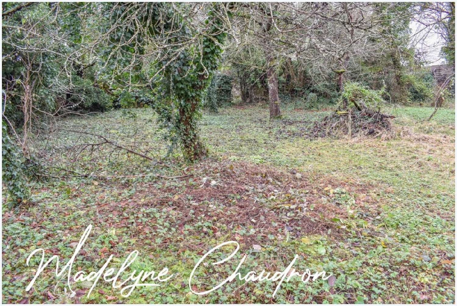  à vendre maison Bouray-sur-Juine Essonne 7