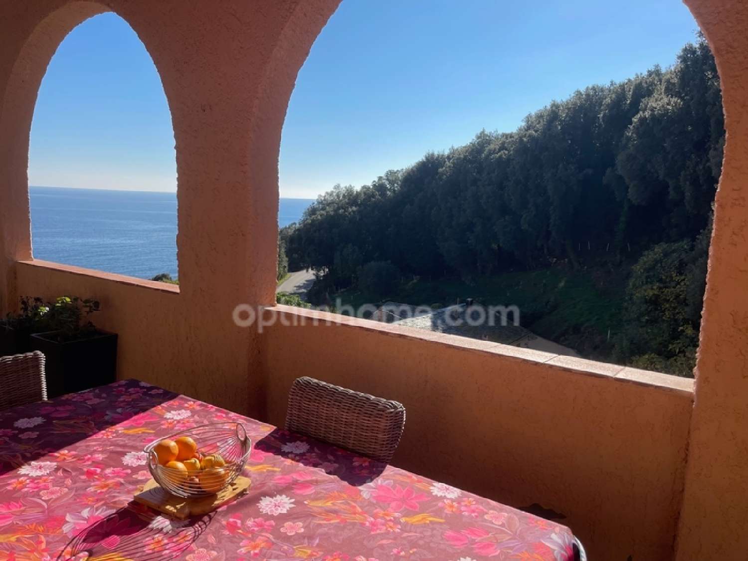  te koop huis Brando Haute-Corse 8