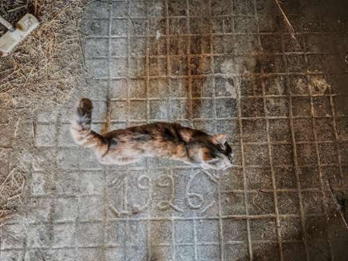  te koop huis Lacour Tarn-et-Garonne 4