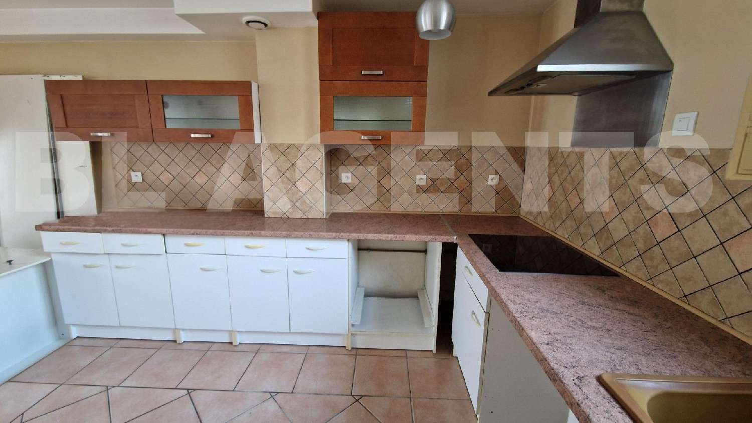 te koop huis Bray-sur-Seine Seine-et-Marne 1