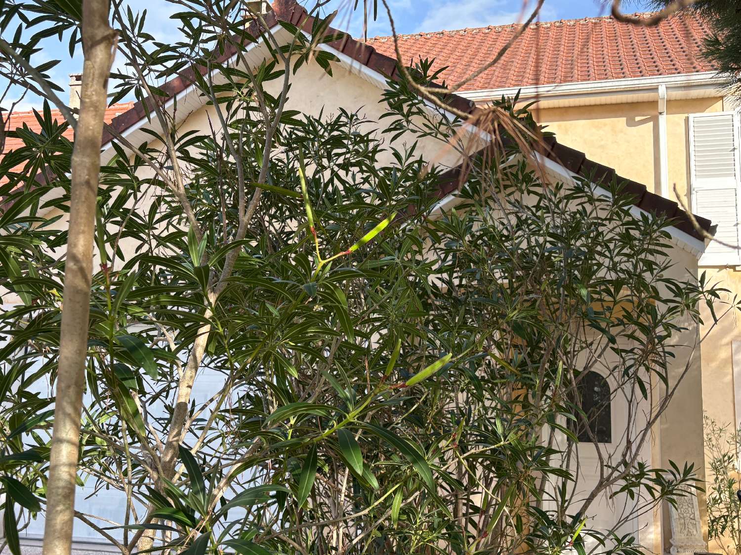  à vendre maison Brive-la-Gaillarde Corrèze 4