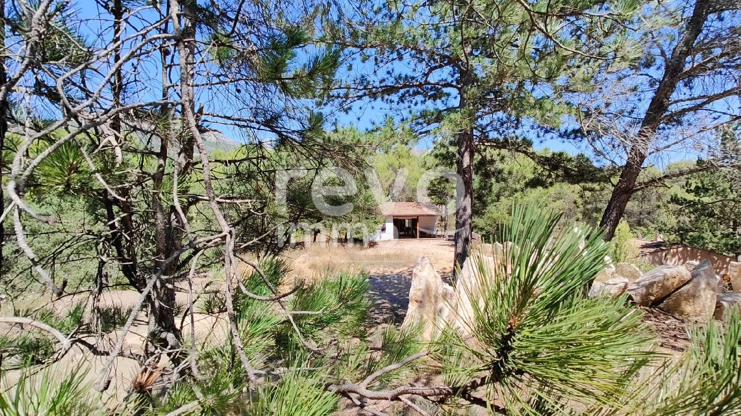  à vendre maison Buis-les-Baronnies Drôme 6