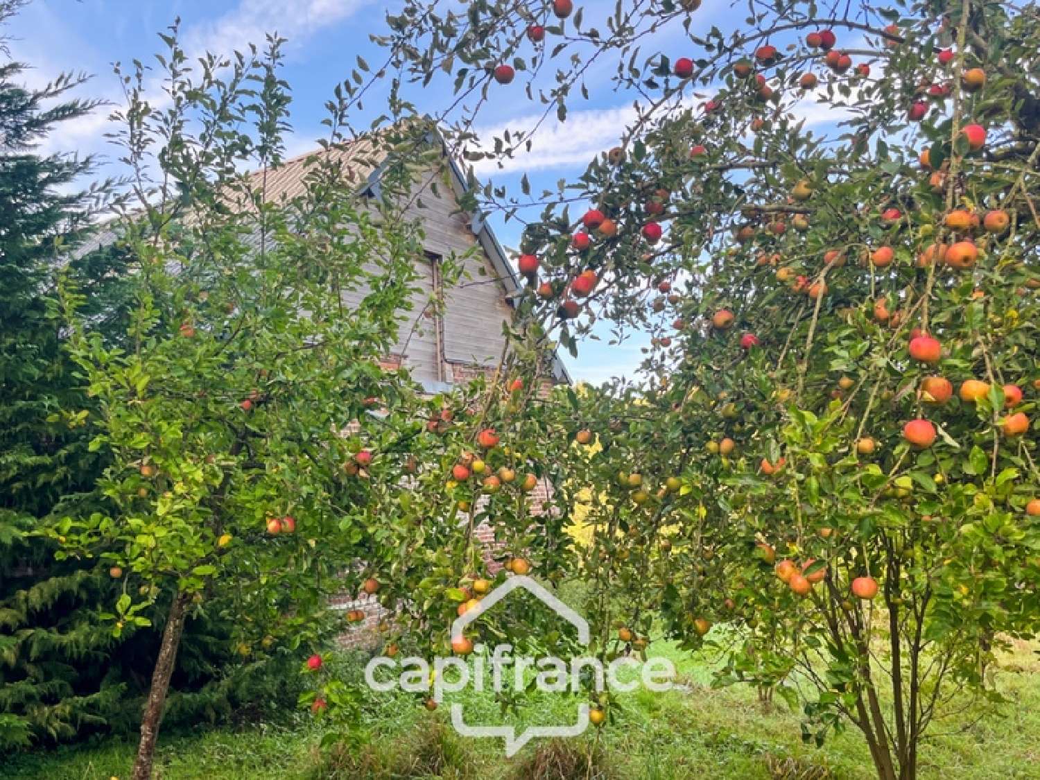  te koop huis Bures-en-Bray Seine-Maritime 5