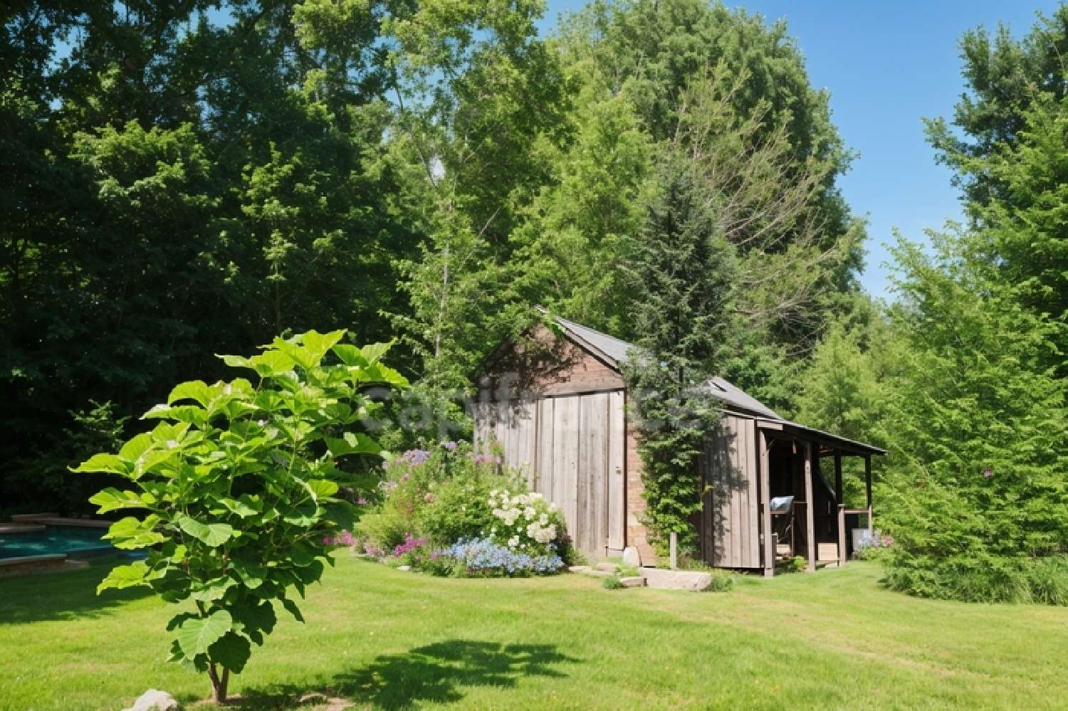  te koop huis Calvinet Cantal 6