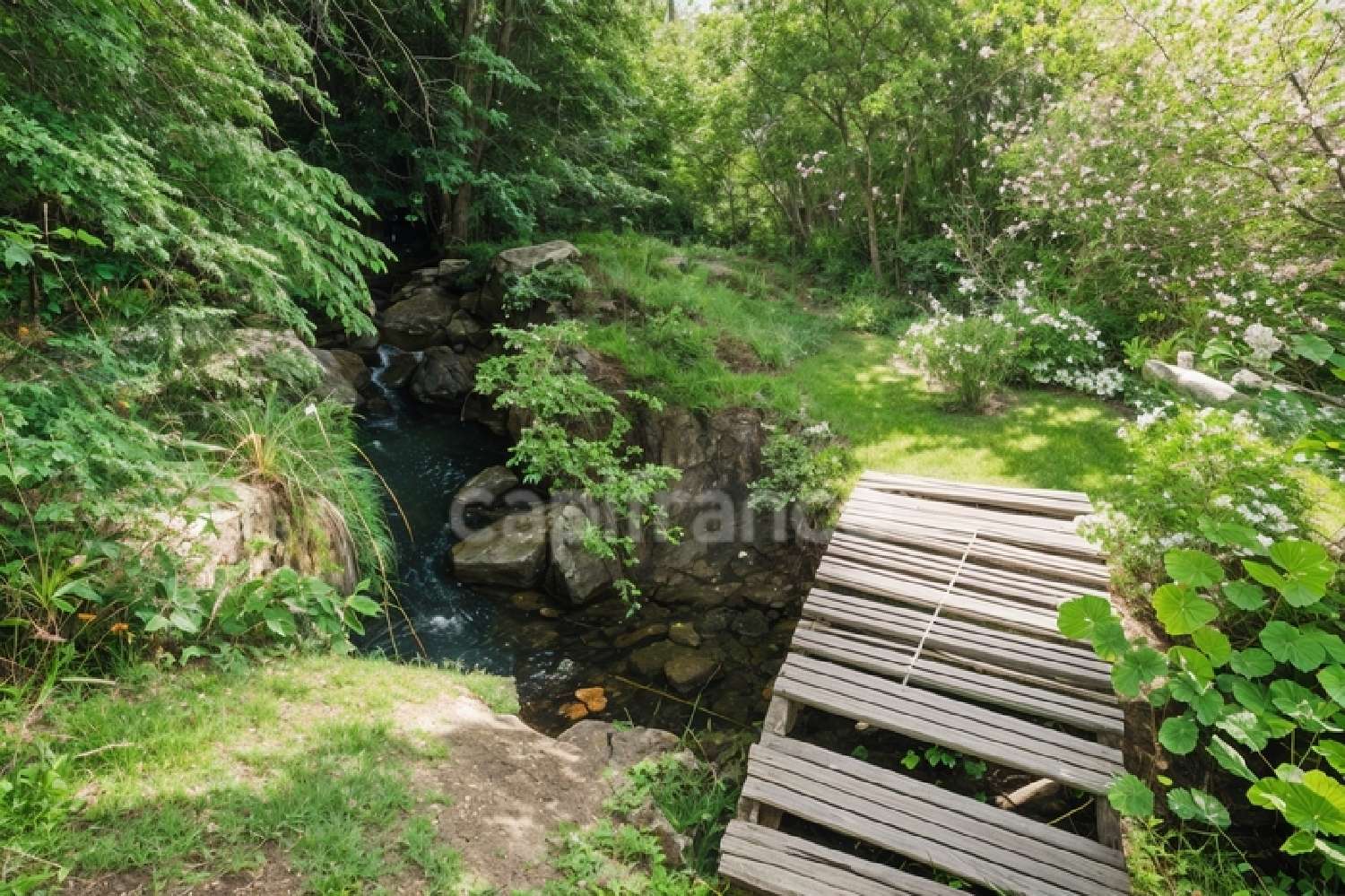  te koop huis Calvinet Cantal 7
