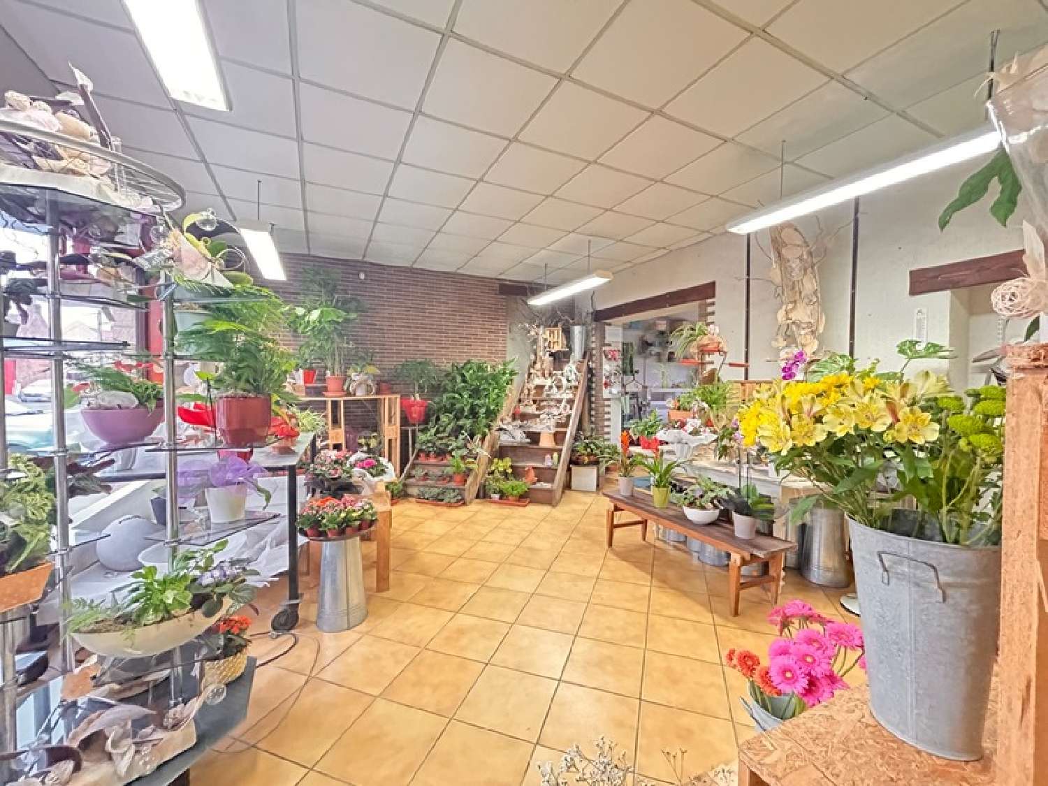  te koop huis Cambrai Nord 1