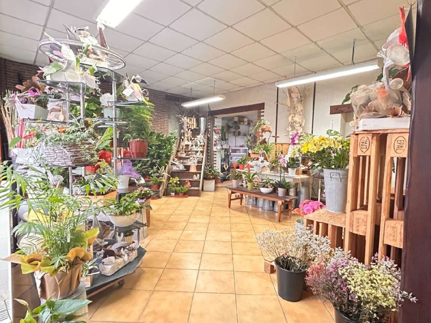  te koop huis Cambrai Nord 2