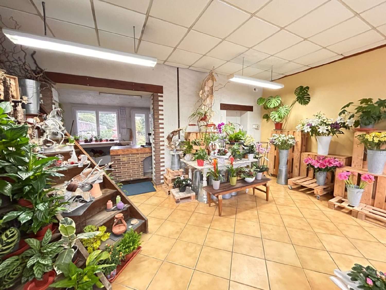  te koop huis Cambrai Nord 3