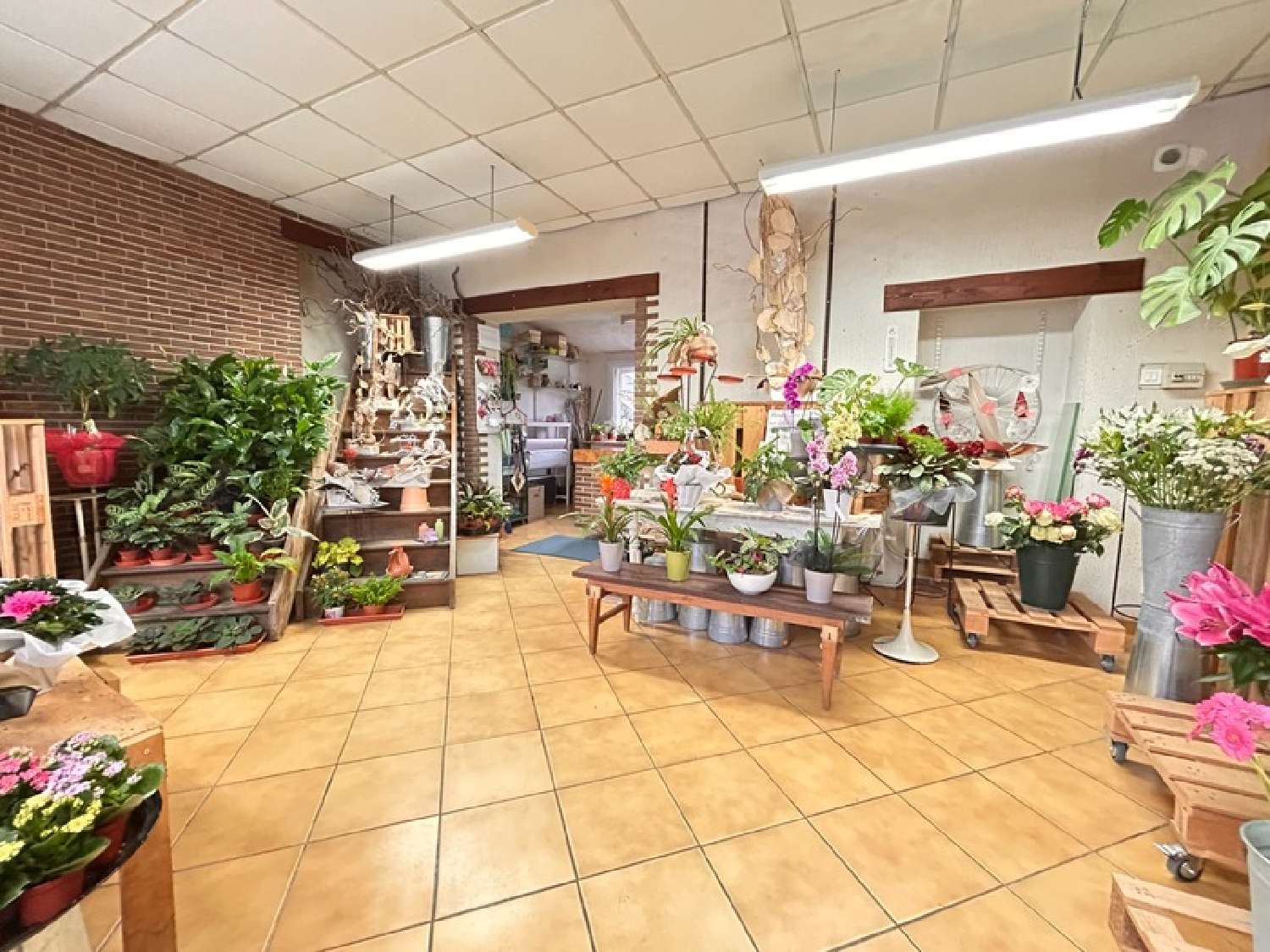  te koop huis Cambrai Nord 4