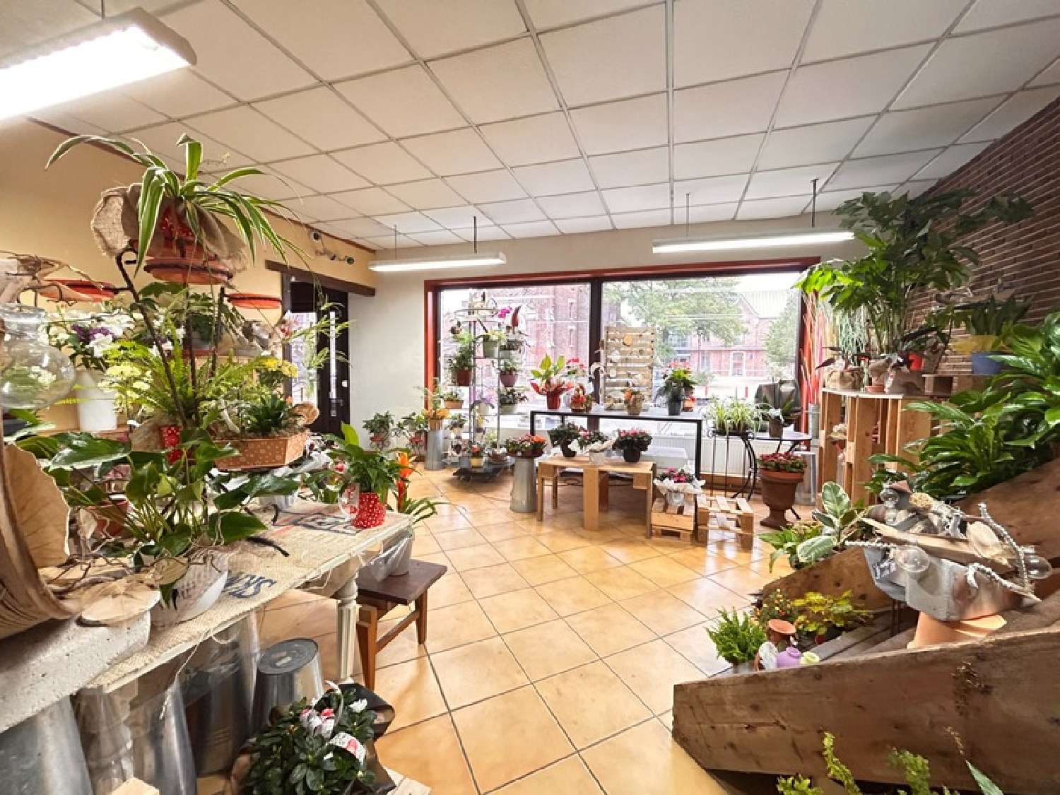  te koop huis Cambrai Nord 5