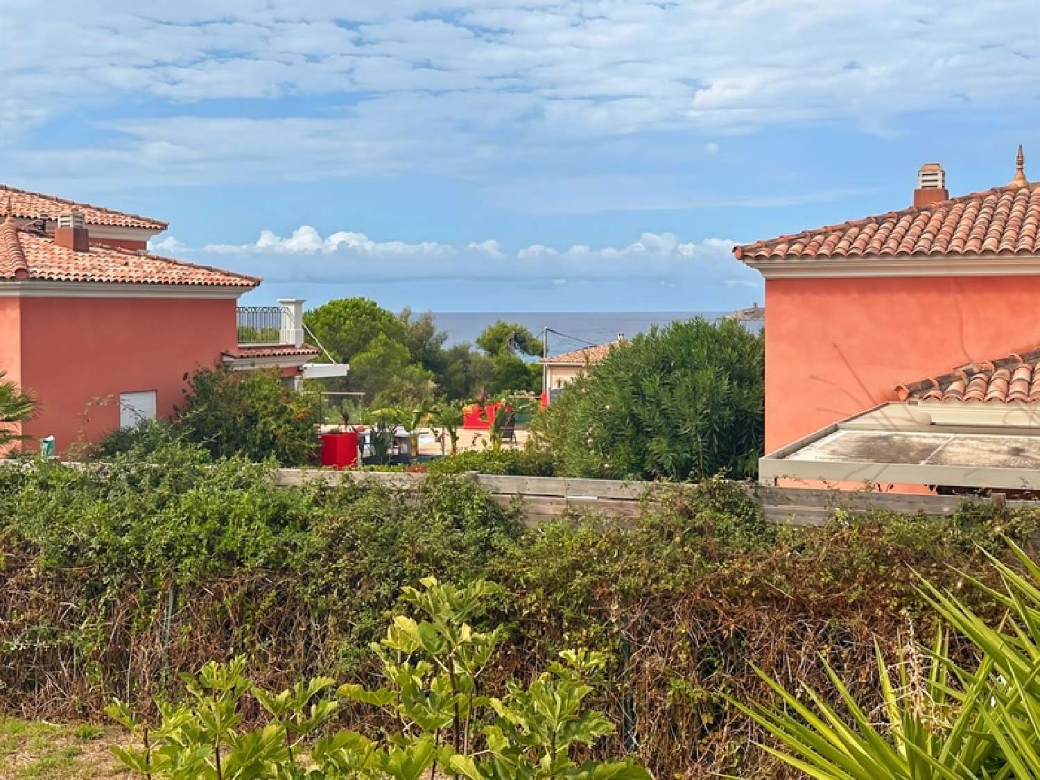  te koop huis Cargèse Corse-du-Sud 6