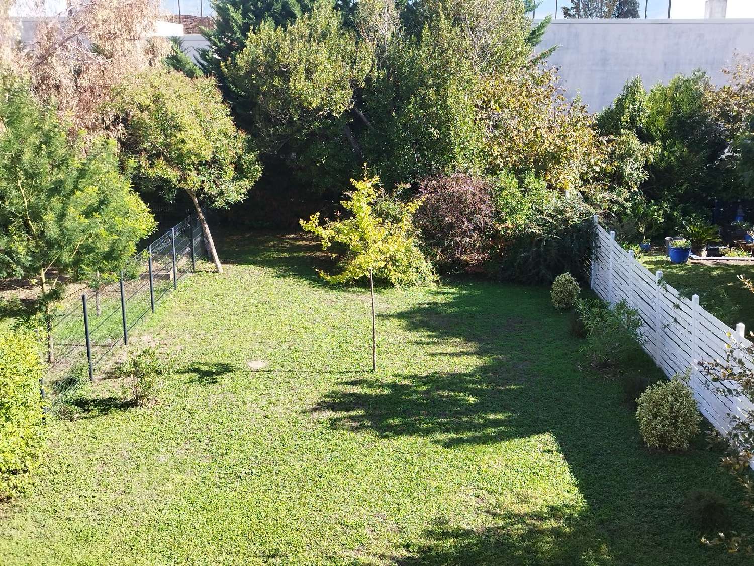  for sale house Castelsarrasin Tarn-et-Garonne 3