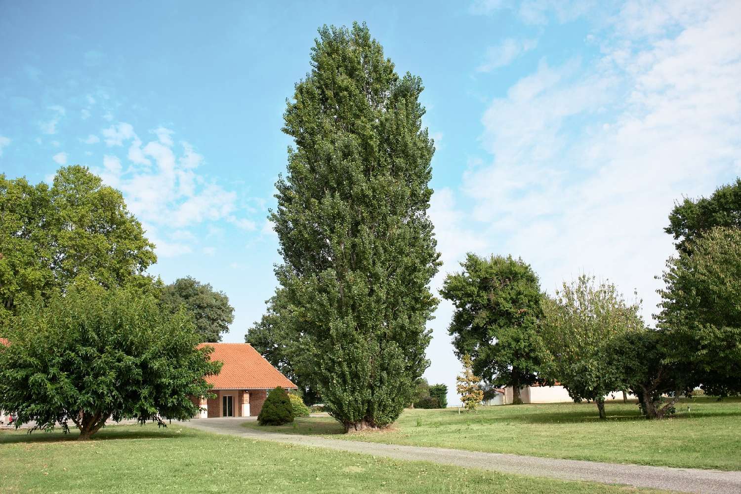  te koop huis Caussade Tarn-et-Garonne 2