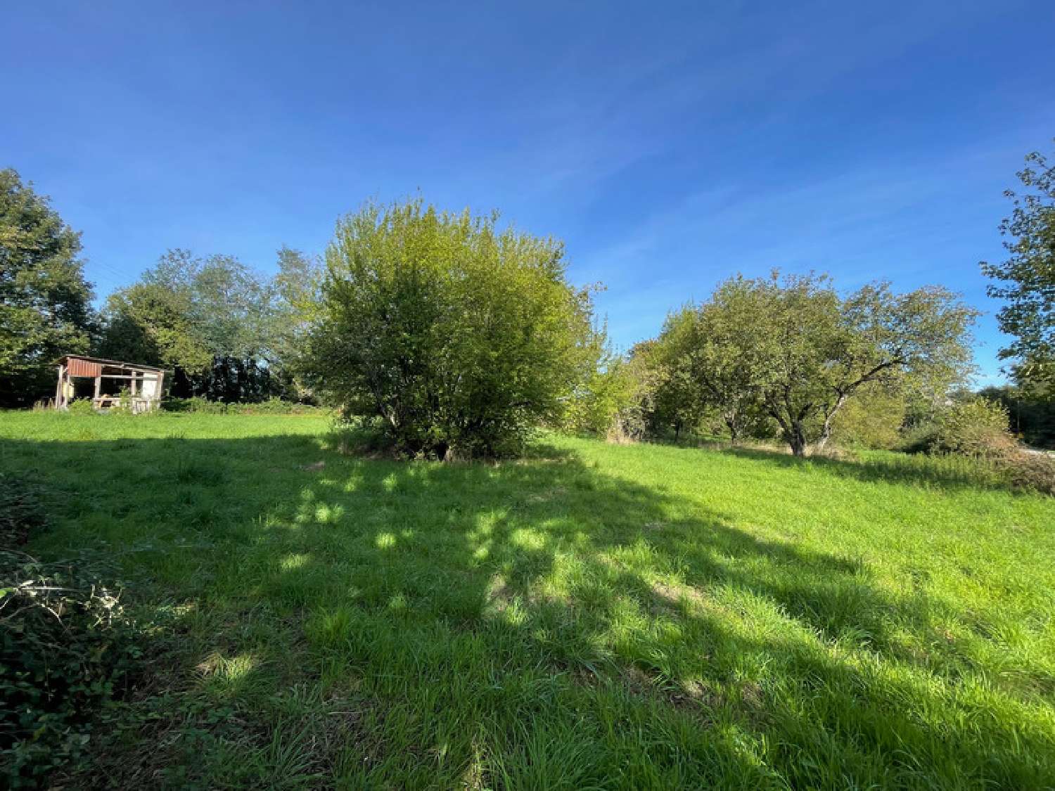 te koop huis Cercy-la-Tour Nièvre 3