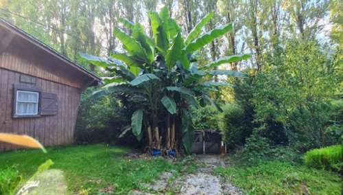 Chalifert Seine-et-Marne Haus Bild 7166823
