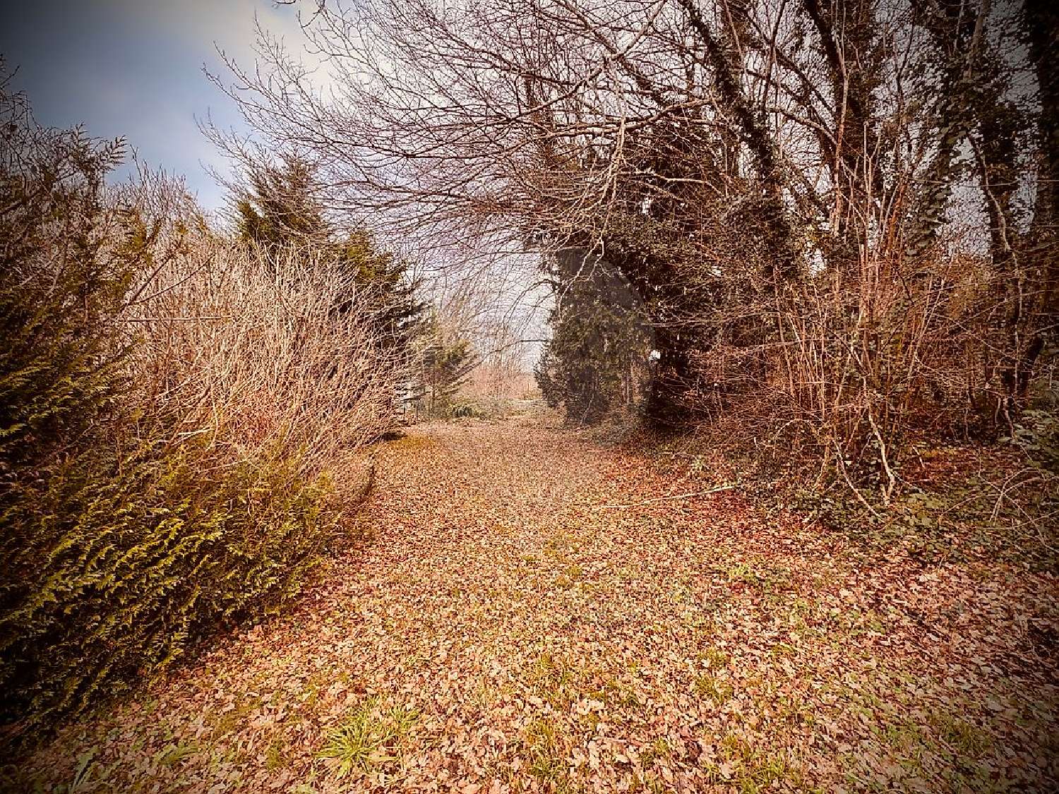 for sale house Mesves-sur-Loire Nièvre 3