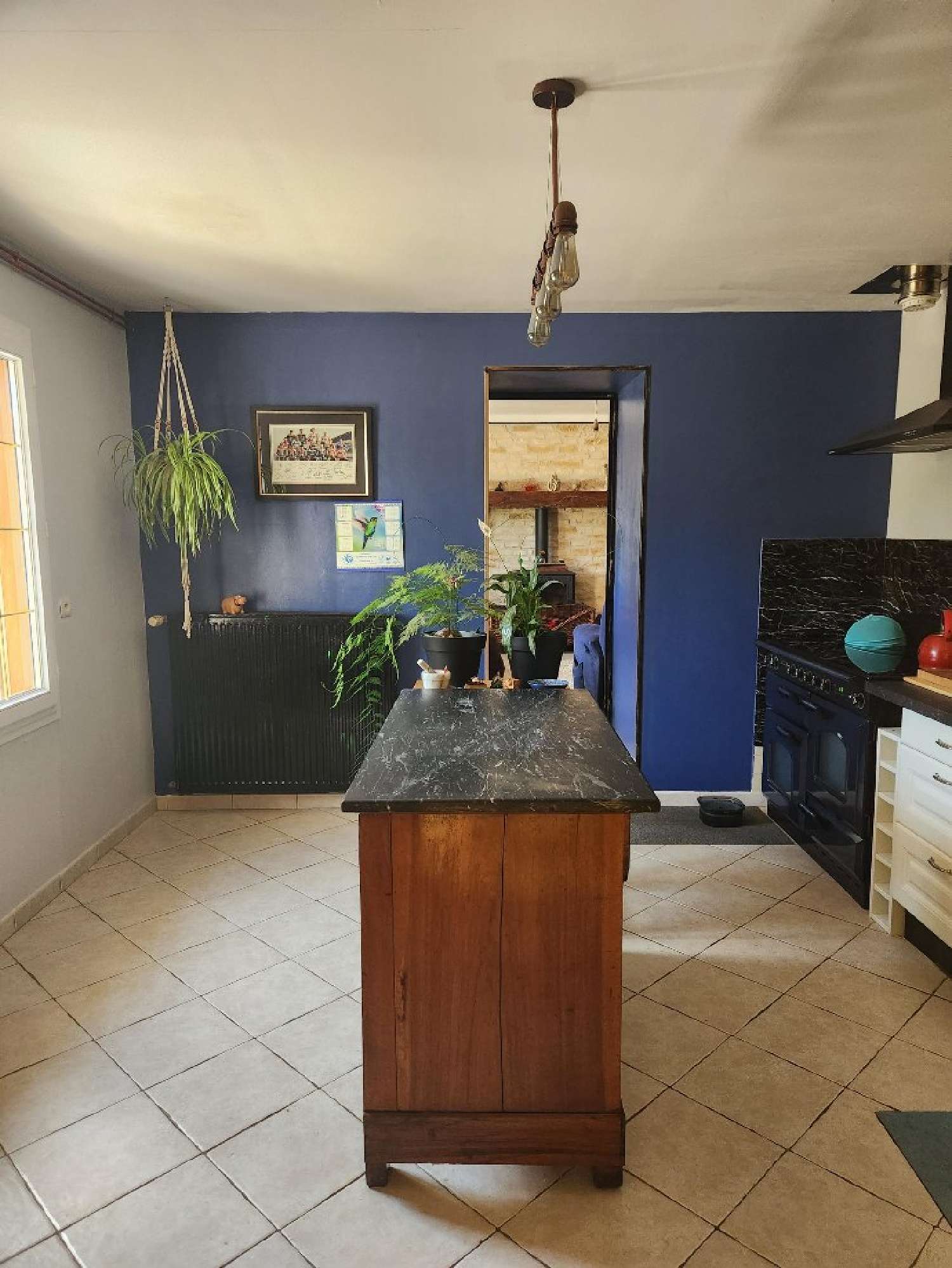 te koop huis Chatain Vienne 3