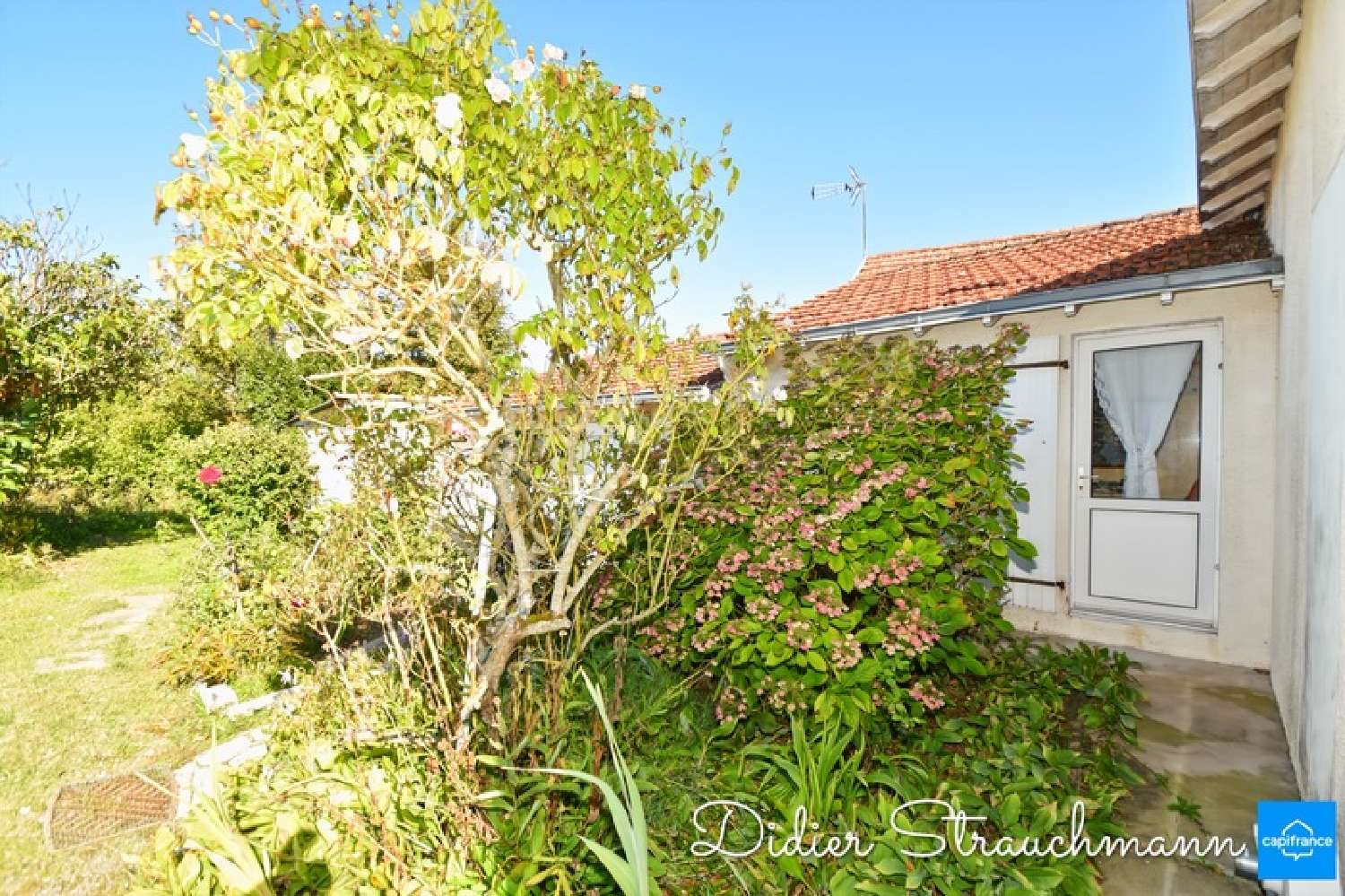 kaufen Haus Châtelaillon-Plage Charente-Maritime 3