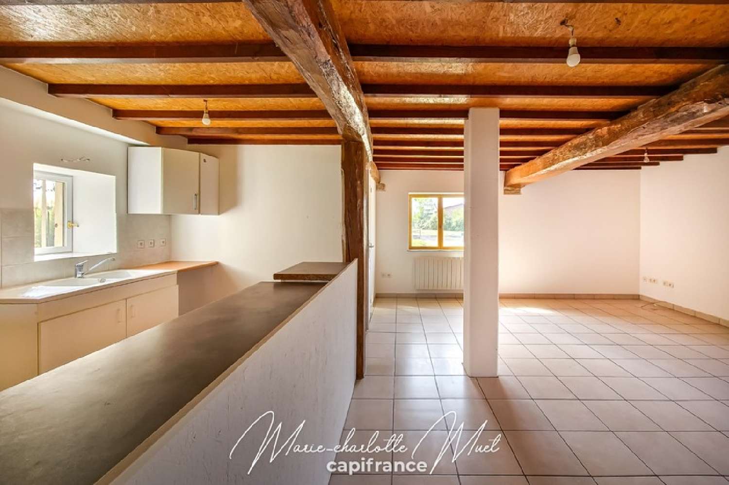  te koop huis Chevroux Ain 7