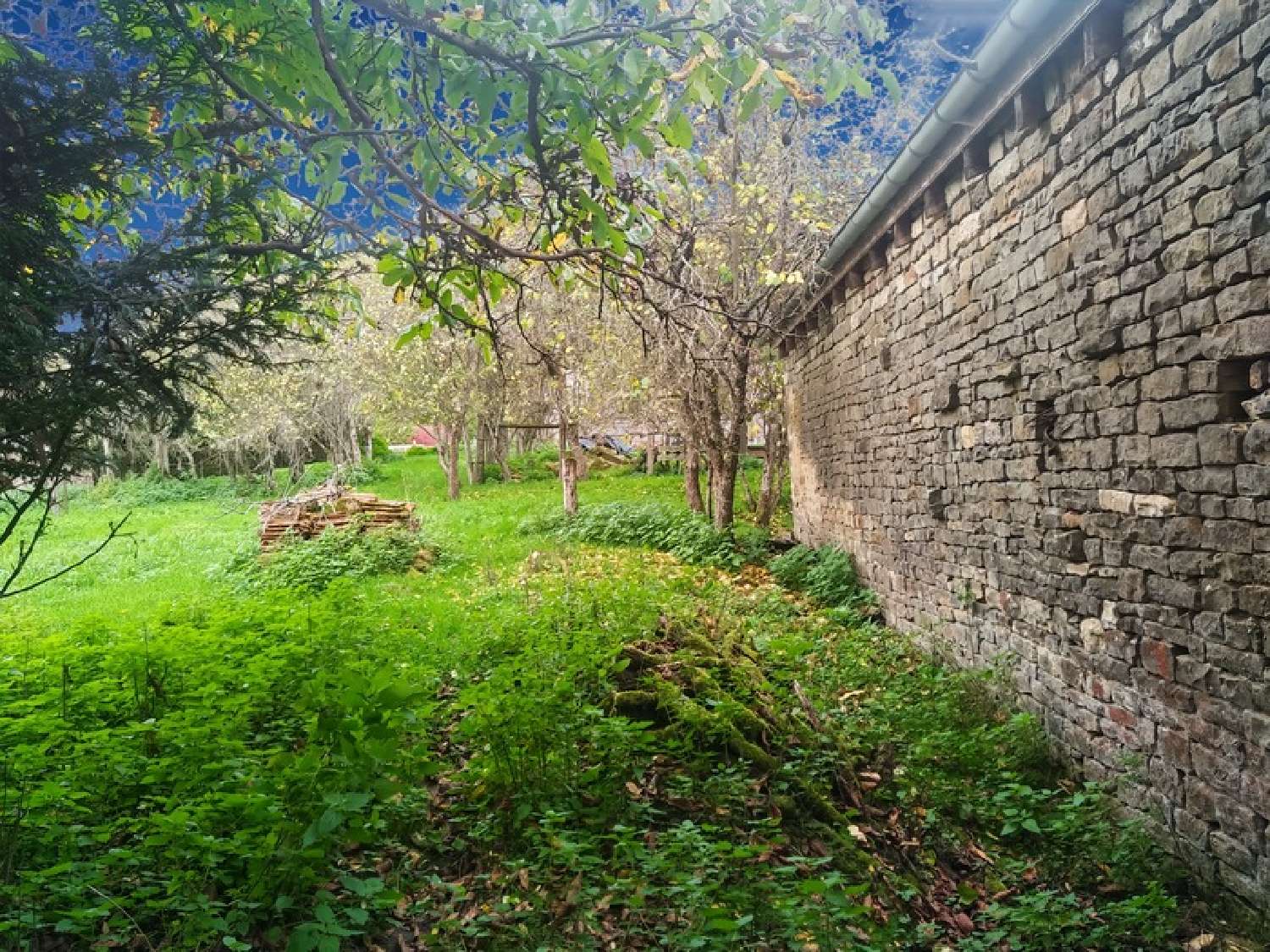 te koop huis Chézeaux Haute-Marne 3