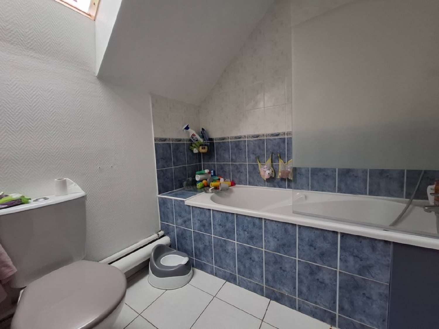  à vendre maison Cinq-Mars-la-Pile Indre-et-Loire 6