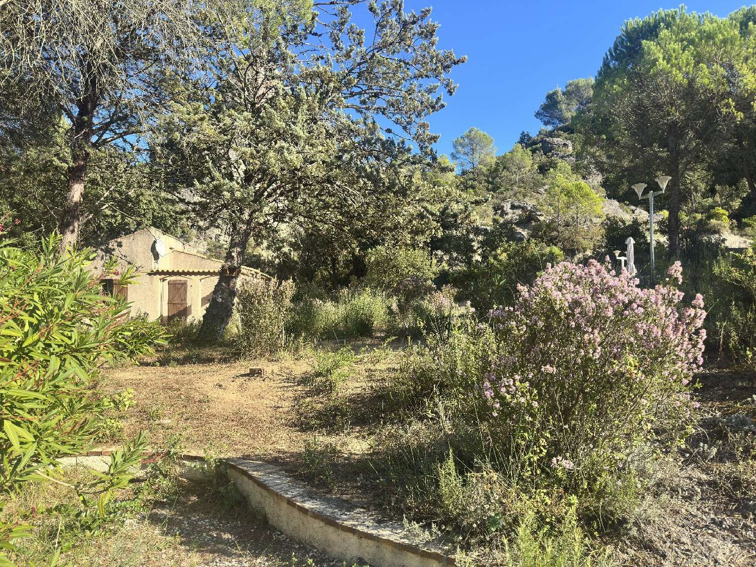  kaufen Haus Clermont-l'Hérault Hérault 3