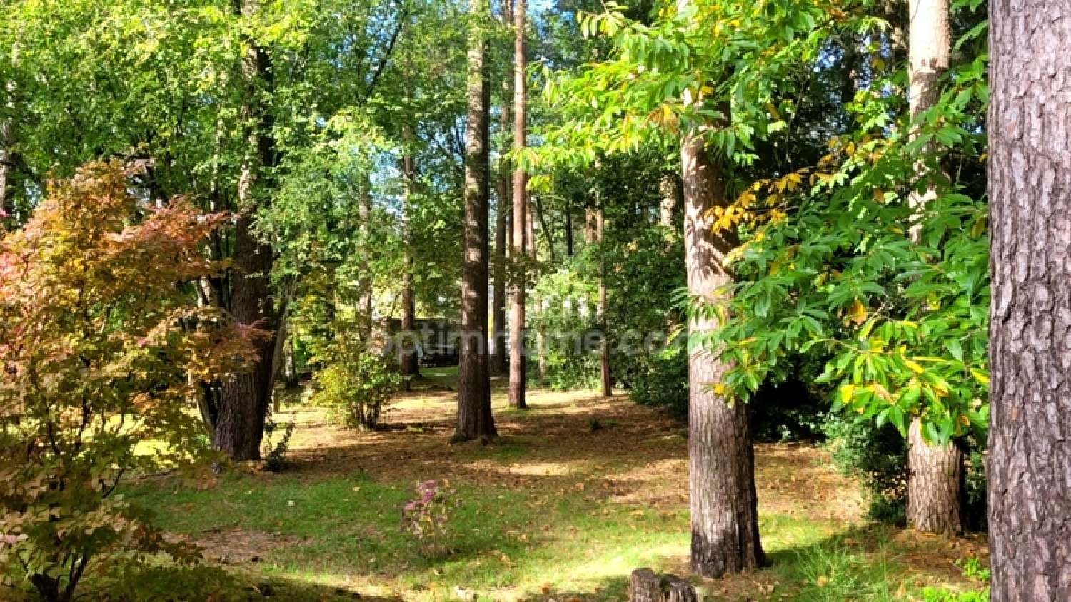  en venta casa Colpo Morbihan 3