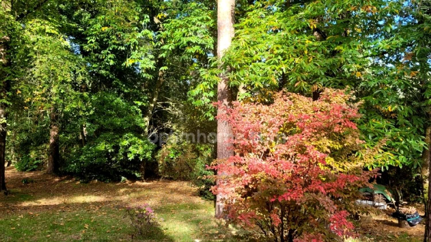  en venta casa Colpo Morbihan 4
