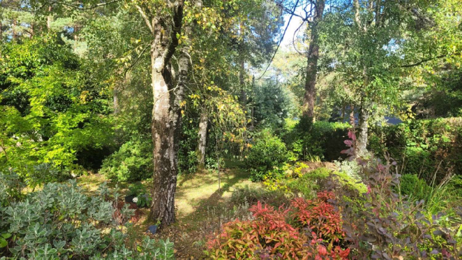  en venta casa Colpo Morbihan 7