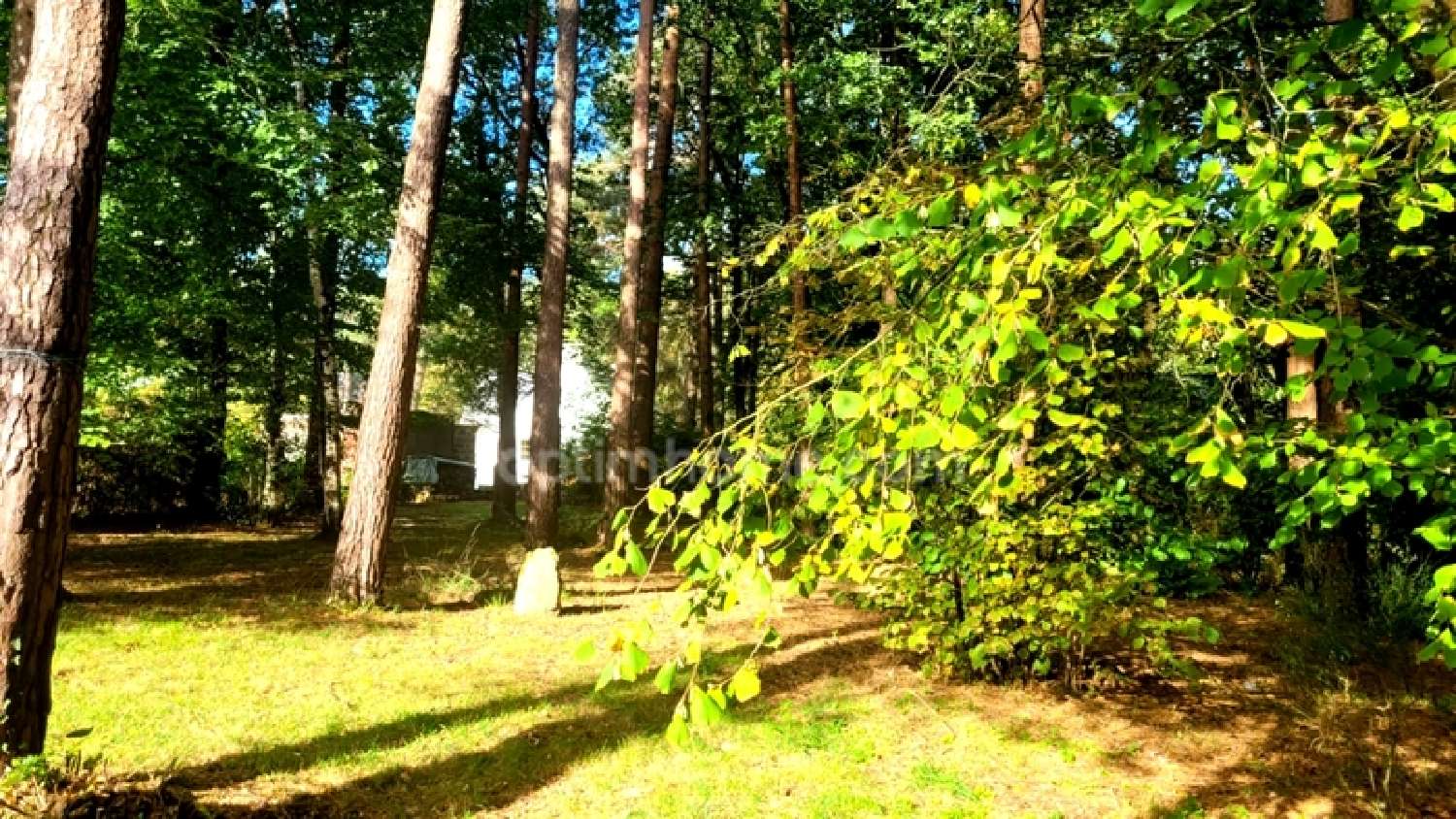  en venta casa Colpo Morbihan 8