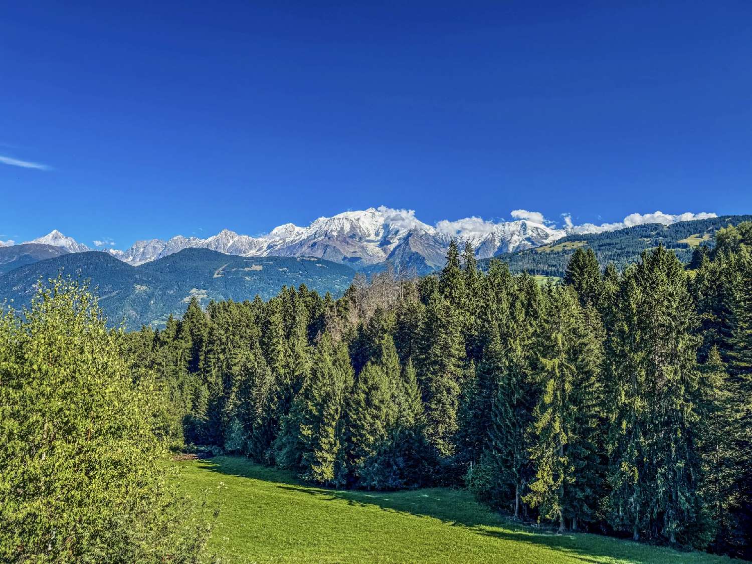  te koop huis Combloux Haute-Savoie 3