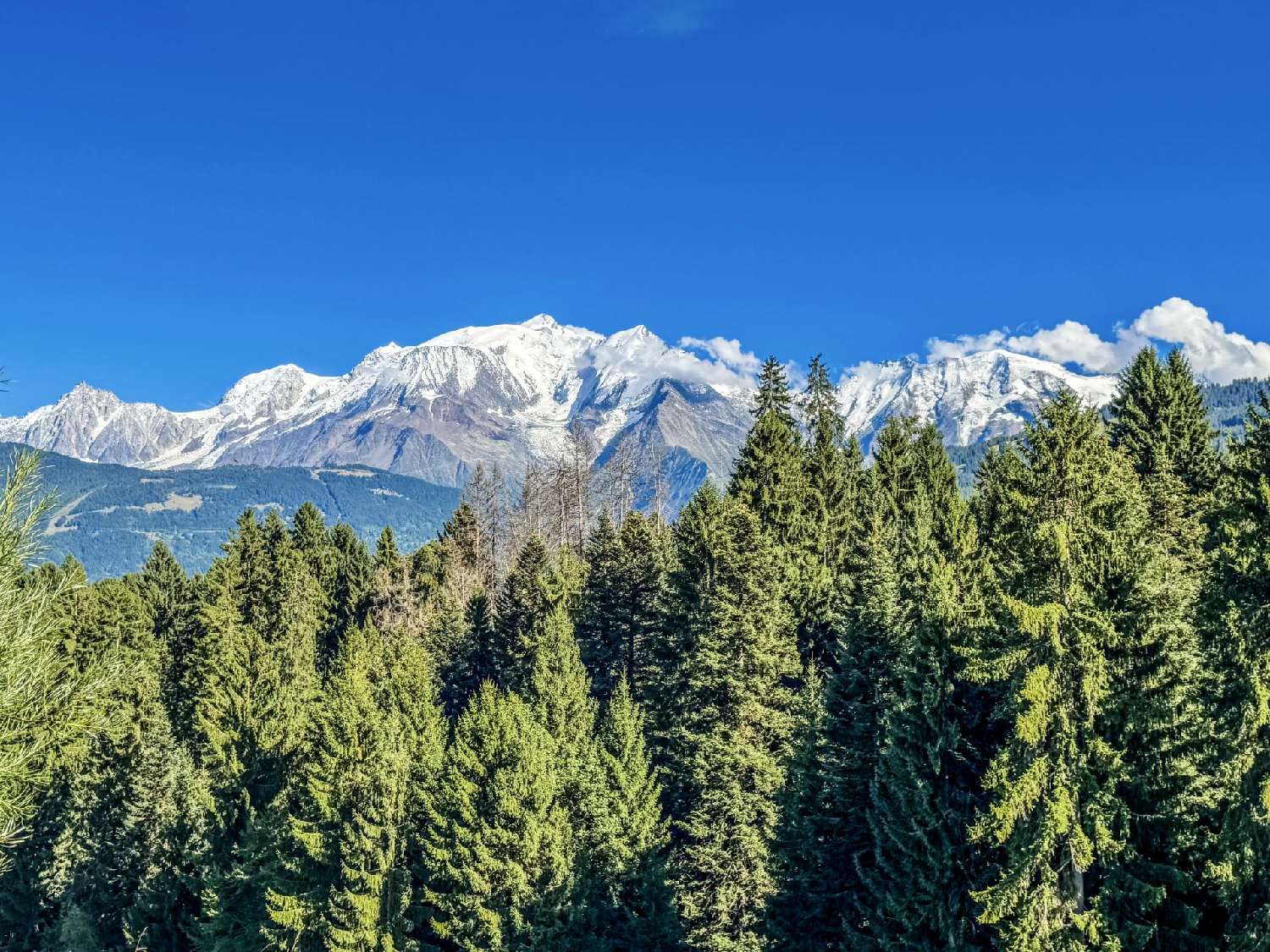  te koop huis Combloux Haute-Savoie 8