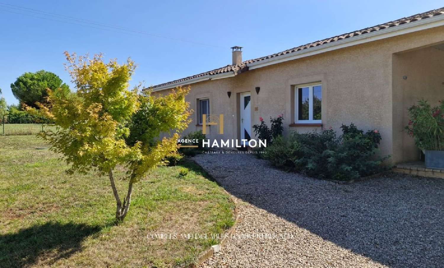 à vendre maison Cordes-Sur-Ciel Tarn 1