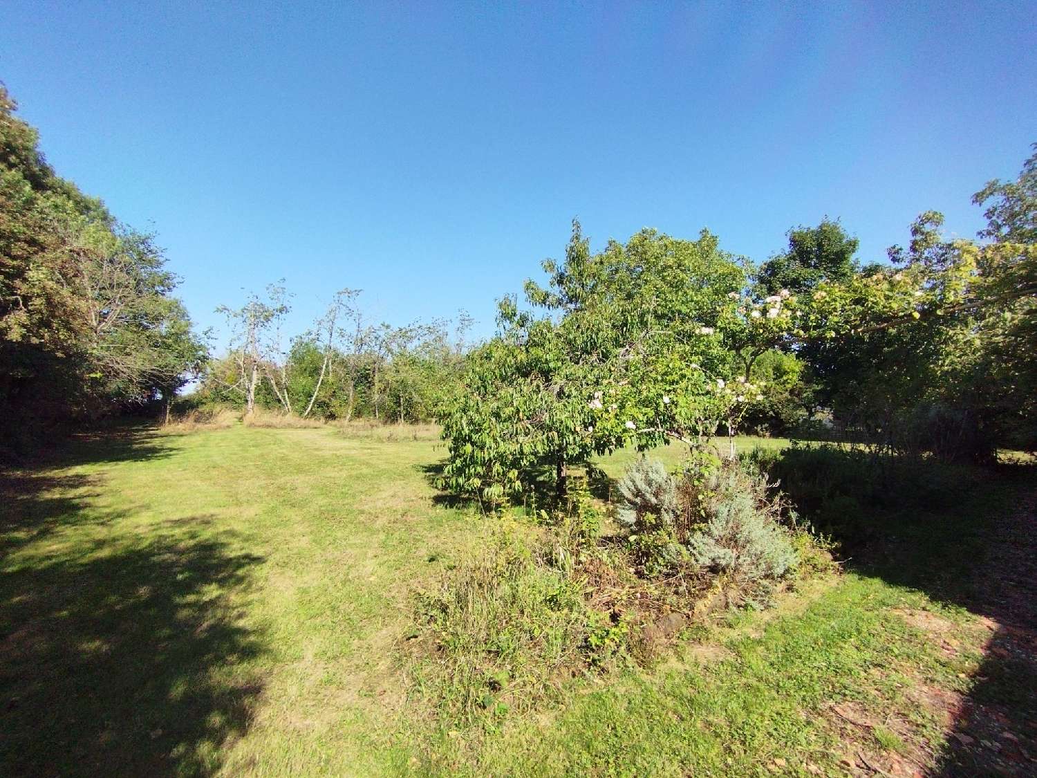  te koop huis Cornusse Cher 5