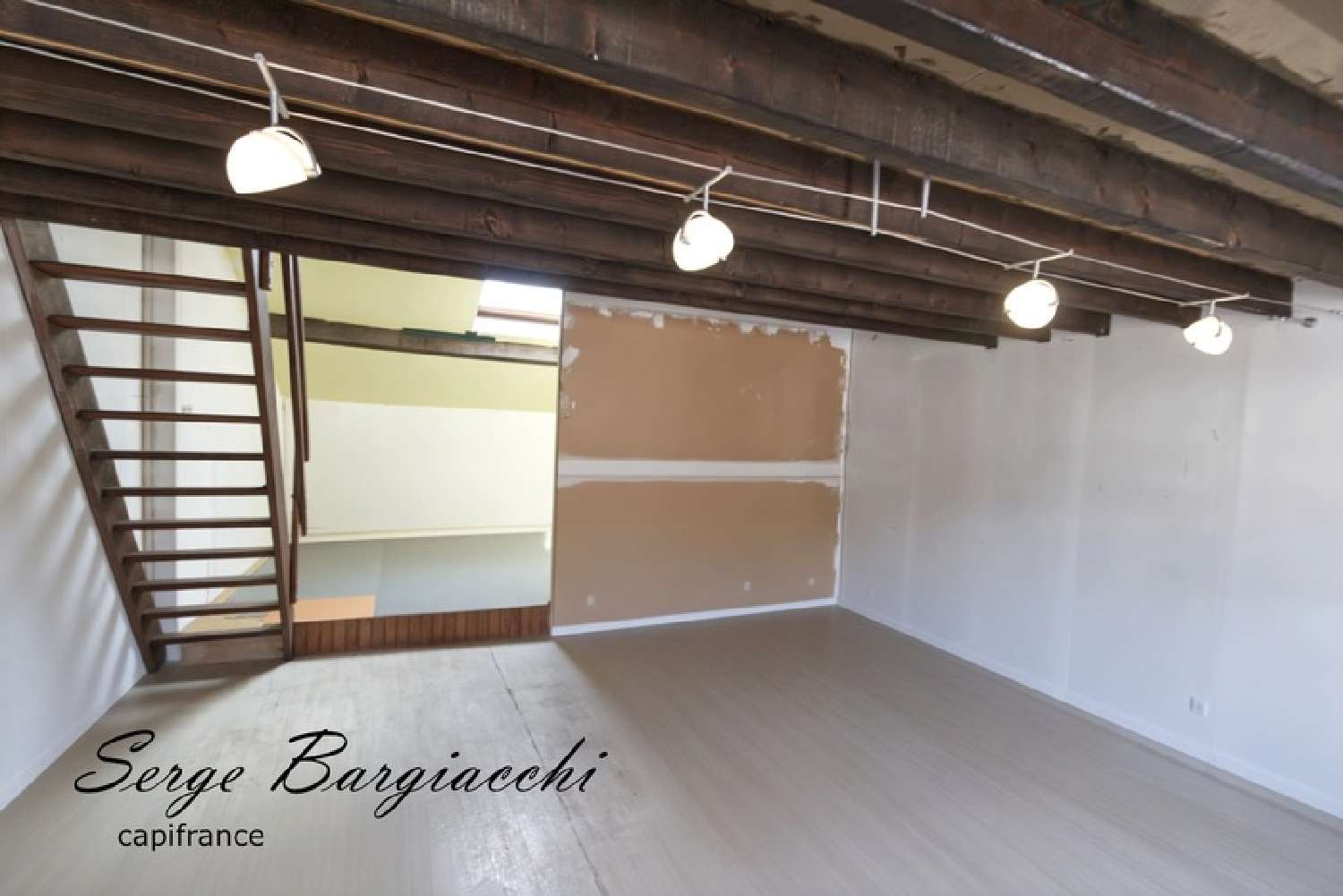  te koop huis Courchelettes Nord 4