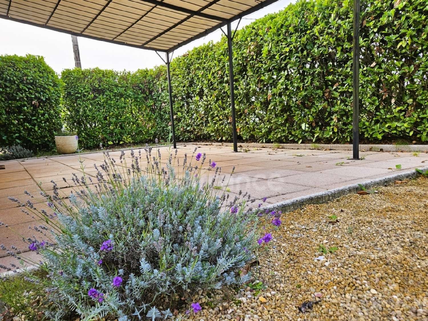  te koop huis Crissey Saône-et-Loire 4
