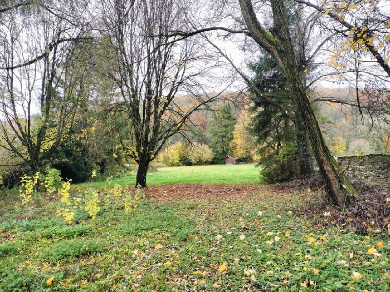 kaufen Haus Cussey-les-Forges Côte-d'Or 2