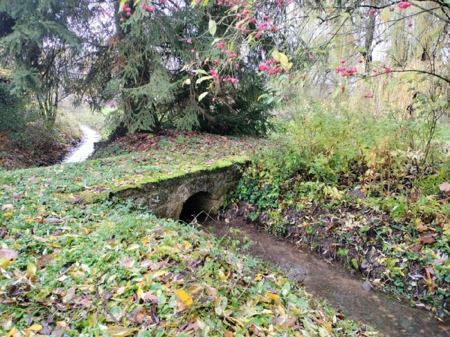 kaufen Haus Cussey-les-Forges Côte-d'Or 7